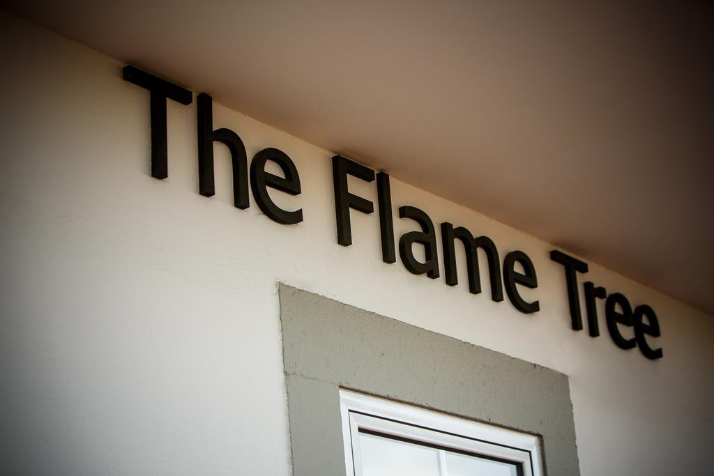 Hotel The Flame Tree Madeira (Adults Only) Funchal  Zewnętrze zdjęcie